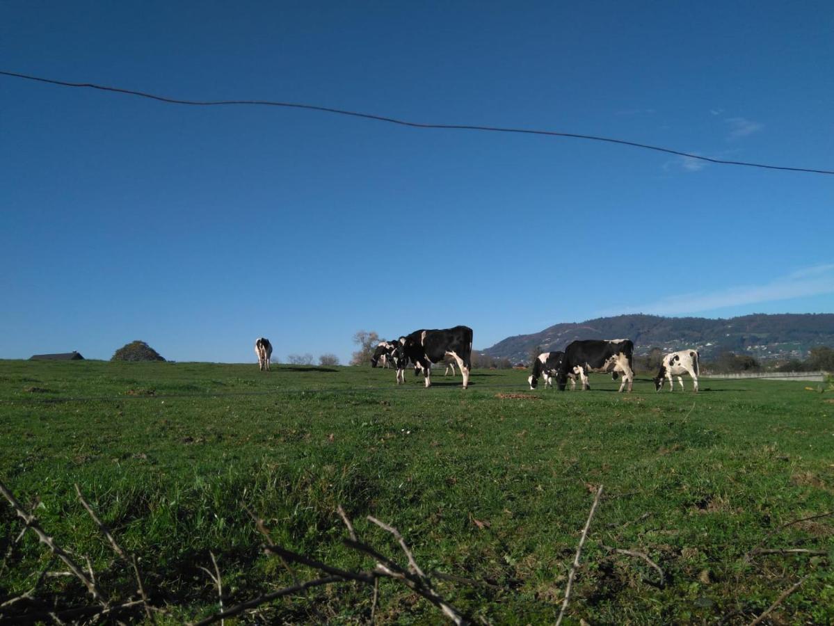 Casa Pepin - Sagasta Rural Oviedo