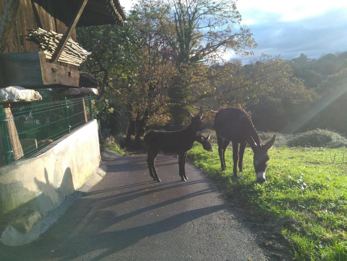 Country house Casa Pepin - Sagasta Rural *